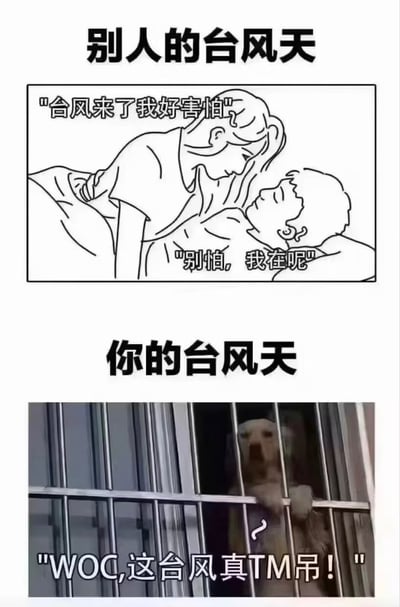 这张梗图采用上下对比的结构，上半部分是线条简笔画，对应标题“别人的台风天”，绘制了一对情侣互动的场景：女生靠在躺着的男生身边，撒娇说“台风来了我好害怕”，男生温柔回应“别怕，我在呢”，展现出有伴侣的人在台风天可以互相依偎的甜蜜状态；下半部分是真实拍摄的照片，对应标题“你的台风天”，画面中一只狗扒在室内的防盗窗上，探出头看向窗外的台风，配文是粗口吐槽“WOC,这台风真TM吊！”，用夸张的反差效果调侃单身人群在台风天没有伴侣陪伴，只能自己看热闹的搞笑状态，幽默地戳中了单身群体的共鸣。