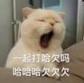 图片中是一只名为“哈恰猫”的猫咪正在张嘴打哈欠，表情生动自然。画面上叠加了幽默文字“打哈欠欠吗”和“哈哈哈哈欠欠欠”，通过重复“欠”字与“哈欠”的发音相近进行谐音调侃，营造出轻松搞笑的氛围，让猫咪打哈欠的动作显得更加有趣可爱。