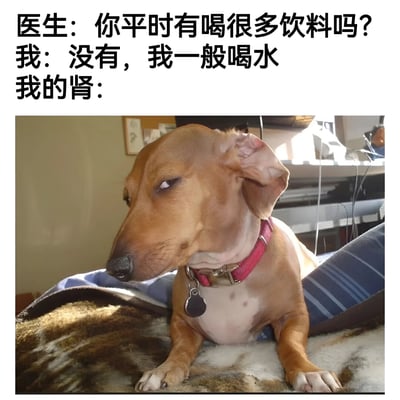 这是一张幽默梗图，上方是医生与患者的对话文字，下方是一只表情怀疑的棕色腊肠犬照片。对话内容为：医生询问患者是否喝很多饮料，患者回答只喝水，最后以“我的肾：”引出狗的怀疑表情，暗示患者可能没有说实话，或者肾脏承受着比主人承认的更多负担。通过拟人化肾脏并用狗的怀疑表情来制造笑点。