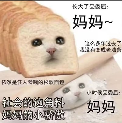 这是一张上下结构的对比类梗图，通过P图将猫咪的脸部与面包、面团结合，拟人化地展现了成长前后受委屈的不同状态。上半部分是被处理成吐司面包模样的猫咪，配文“长大了受委屈：妈妈~”，补充文字“这么多年过去了我没有变成老油条，依然是任人蹂躏的松软面包”，表现出成年人在社会中依然保持柔软、容易被外界影响的状态；下半部分是被擀面杖压着、如同面团的猫咪，配文“小时候受委屈：妈妈”，补充文字“社会的边角料，妈妈的小骄傲”，既调侃了自己在社会中的处境，又凸显出在妈妈心中的重要地位，整体画面充满共情，精准戳中当代年轻人的情绪。