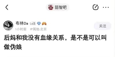 社交媒体平台截图，显示用户"布林Da"发布的帖子："后妈和我没有血缘关系，是不是可以叫做伪娘"。用户头像为黑白抽象图案，等级5，IP属地北京，发布时间为1小时前。界面顶部显示"弱智吧"社区名称及猴子图标。