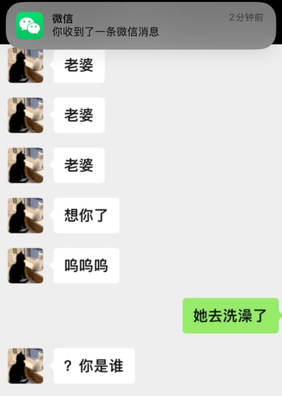 这是一张微信聊天记录截图，展示了一个有趣的误会场景。一方连续发送多条"老婆"消息表达思念，却收到"她去洗澡了"的回复，随后发出"? 你是谁"的疑惑。发送消息的一方使用了黑猫坐在窗边的头像，形成了幽默的对话效果。