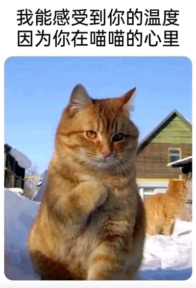 图片中是一只橘猫坐在雪地里，前爪交叠，眼神平静地注视前方。背景可见蓝色天空和几座木屋，远处还有另一只橘猫的背影。图片上方配有文字“我能感受到你的温度 因为你在喵喵的心里”，整体营造出温馨治愈的氛围，通过猫咪的可爱形象和暖心文字传递情感。