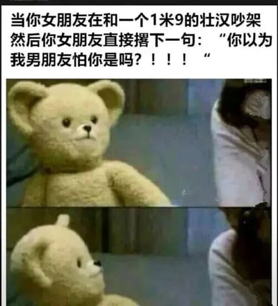 图片上方文字构建了一个戏剧性场景：女朋友与1米9壮汉吵架时，自信喊话“你以为我男朋友怕你是吗？！！！”。下方两张图形成鲜明对比——上图中泰迪熊正直视前方，表情淡定；下图中泰迪熊则转头侧身，仿佛在回避。通过可爱的泰迪熊形象与霸气的文字形成强烈反差，幽默展现了“男友实际很弱小”的搞笑设定，突出情侣间轻松诙谐的互动氛围。