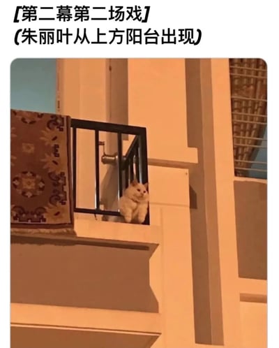 一张幽默改编的图片，将莎士比亚经典戏剧《罗密欧与朱丽叶》中朱丽叶在阳台出现的著名场景，用一只坐在阳台栏杆后的白猫来演绎。图片上方配有文字"【第二幕第二场戏】(朱丽叶从上方阳台出现)"，形成文学经典与可爱动物的有趣反差萌。