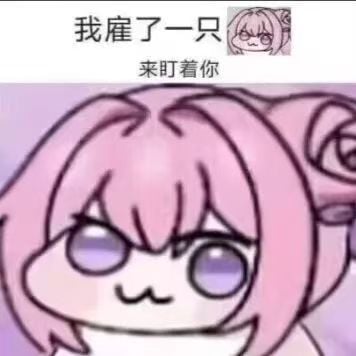 我雇了一只Doro来盯着你