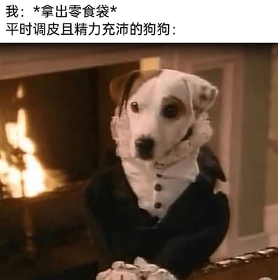 这是一张趣味梗图，通过上方的文字构建场景：当主人拿出零食袋时，平时调皮捣蛋、精力旺盛的狗狗，瞬间转变为图中穿着复古欧式正装、端正坐在壁炉前的乖巧模样。利用拟人化的形象和强烈的行为反差，生动调侃了宠物为了零食可以立刻收敛本性、变得懂事听话的可爱特质，充满幽默趣味。