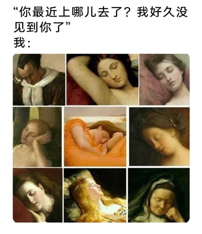 这是一张幽默的网络梗图，采用图文结合的形式，上方设置了他人的提问对话：“你最近上哪儿去了？我好久没见到你了”，随后以“我：”引出下方的九宫格内容，九宫格均为西方古典写实风格油画的截图，每一幅画中的人物都处于熟睡状态，姿态各异，有的伏在枕头上安睡，有的撑着头休憩，神态安详放松。整幅图通过这种具象化的视觉表达，幽默地回应了他人的询问，传递出自己最近一直处于睡觉、宅家休息，没有出门社交的状态，用经典艺术作品的画面赋予现代生活状态调侃的趣味，贴合当下年轻人嗜睡、宅家的生活场景，容易引发共鸣。