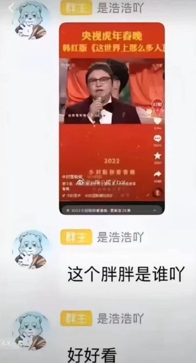 这张图片是一则截图表情包，内容为某社交应用上的对话和转发。对话中用户转发了央视虎年春晚韩红版《这世界上那么多人》的表演画面截图，并配文问“这个胖胖是谁吖”，下方又补了一句“好好看”。整体表现出对春晚嘉宾好奇和略带调侃的语气，属于典型的网络轻松搞笑聊天场景。

值得注意的是图片中的“胖胖”称呼有调侃意味，但无明显恶意。无双关或谐音梗，整体氛围幽默轻松。