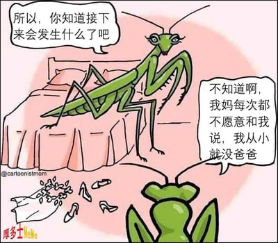 这是一张螳螂拟人化的搞笑漫画梗图，画面中两只螳螂母子坐在床上对话。母螳螂问小螳螂“你知道接下来会发生什么吗”，小螳螂回答“我妈每次都不愿意和我说，我从小就没爸爸”。这个梗源自螳螂交配后雌性会吃掉雄性的科普知识，结合了人类亲子对话的幽默场景，带有明显的暗示和知识性黑色幽默色彩。

- 暗示点：漫画采用双关的方式，通过螳螂“没爸爸”对应螳螂生物特征，达到知识型冷笑话和社会亲子梗的双重效果。
- 本图风格为简笔画配台词，场景设置为螳螂家庭卧室，台词幽默且带有一丝无奈。