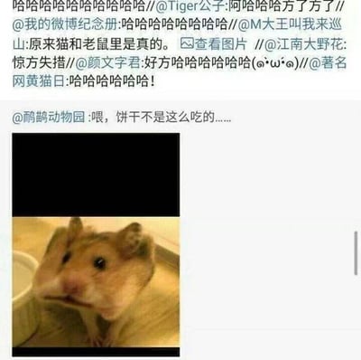 这是一张微博平台的截图，内容包含一段转发评论链和一张仓鼠的照片。评论链中多位微博用户如@M大王叫我来巡山、@颜文字君等纷纷转发并配上爆笑的感叹，其中@M大王叫我来巡山的评论“原来猫和老鼠里是真的”点出了笑点核心。博主“鹌鹑动物园”发布的仓鼠照片里，仓鼠的脸部因视觉错位或修图，呈现出类似嘴里塞满大量食物的滑稽模样，完美还原了经典动画《猫和老鼠》里杰瑞把食物塞满脸颊的夸张名场面，这种现实动物与动画场景的高度呼应，让网友们觉得十分有趣，从而引发转发和调侃。