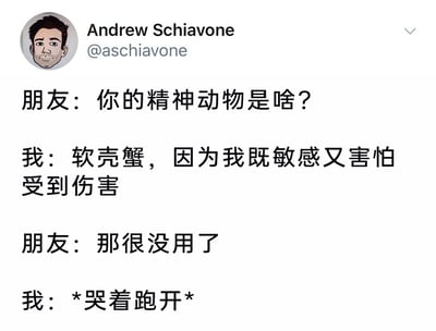 这是一张X（原Twitter）平台的用户推文截图，呈现了一段充满自嘲意味的搞笑对话。对话以朋友询问“我”的精神动物为开端，“我”将自己比作软壳蟹，以此形容自身敏感脆弱、害怕受伤的性格，朋友一句“那很没用了”的直白评价，直接触发了“我”的情绪，最终“我”哭着跑开。这段对话用夸张又真实的反应，精准刻画出敏感人群的内心状态，在幽默的表达中带着一丝共情的心酸，通过日常化的互动场景制造出轻松的笑点。