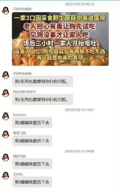 这张图片是2025年7月30日的QQ群聊截图，首先群成员“不好吃的鱼乾”转发了一则社会新闻：一家三口采食野生蘑菇担心有毒，先让家中的狗试吃，见狗没有立刻出现异常就放心食用，结果饭后三小时全家人都出现呕吐症状中毒送医，当事人事后回忆，狗吃完蘑菇后连续两顿不肯吃东西，其实已经是中毒的表现。随后群友针对这则新闻纷纷玩梗调侃狗的心理活动，先是有人发“狗:在死也要撑到你们吃完饭”，有群友跟风重复这句话；之后又有人发“狗:嘻嘻我要活下去”，后续多名群友重复这句话玩梗，整体氛围搞笑诙谐，用调侃的方式吐槽了这则新闻中一家人误判狗状态的离谱行为。