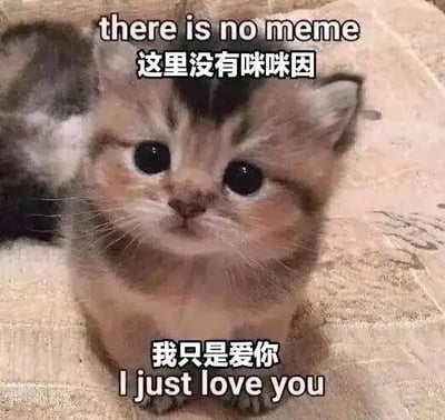 这是一张文字加注类的静态萌宠表情包，主体是一只大眼睛的短毛小猫，小猫端正坐着，圆睁着湿漉漉的眼睛抬头看向前方，神态软萌又带着些许委屈。图中配有中英双语文字，上方英文“there is no meme”对应中文“这里没有咪咪因”，其中“咪咪因”是“meme”的谐音梗，下方中文“我只是爱你”对应英文“I just love you”。这张图以谐音玩梗的方式，假装否认自身是一个表情包（meme），实则借助小猫的软萌姿态传递出直白的爱意，风格治愈可爱，适合在日常社交中用于表白、撒娇等场景。