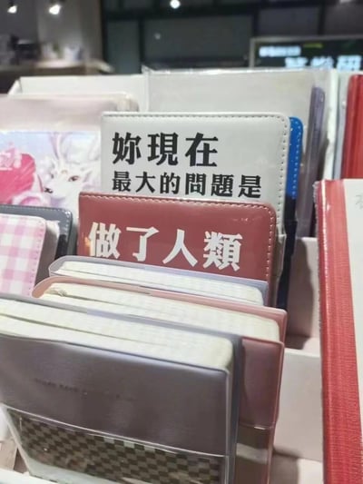一家文具店的货架上摆放着各种颜色的笔记本，其中一个白色笔记本上印有黑色文字'你现在最大的问题是'，下方红色笔记本上接着写'做了人类'，形成一句幽默的完整句子。周围还有粉色、灰色等不同款式的笔记本。