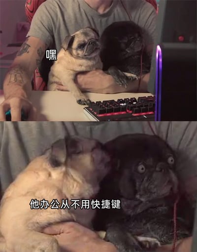 这是一张上下拼接的对比式搞笑梗图，上图展示了一只浅色巴哥犬趴在玩电脑的人的手臂上，爪子搭在机械键盘上，配文“嘿”，仿佛正准备“办公”；下图中浅色巴哥犬突然转头咬住旁边深色巴哥犬的脸部，深色巴哥犬瞬间瞪大双眼，露出极度震惊的表情，配文“他办公从不用快捷键”。图中运用了谐音梗，将“快捷键”谐音为“快咬脸”，用宠物的搞笑互动结合职场相关的调侃，制造出荒诞又有趣的笑点，既展现了宠物的可爱互动，又用职场梗引发网友的共鸣。