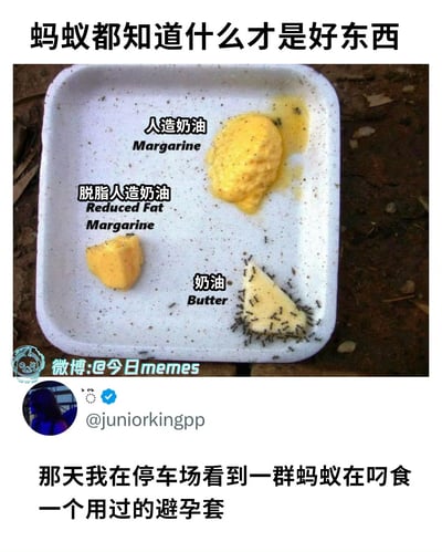 这张图用幽默的方式对比了奶油和人工奶油（人造黄油）的吸引力，上方图片中用盘子装了三种不同冷藏块状物，贴了中英文标签，分别是“人造奶油”、“脱脂人造奶油”和“奶油”，结果只有“奶油”上聚集了大量蚂蚁。下方截图则是网友调侃说自己在停车场看到蚂蚁啃食避孕套，暗示蚂蚁懂得辨别优质脂肪。整体属于冷知识和黑色幽默结合的网络段子。

图中的“优质”选择用蚂蚁的本能行为表现，具有一定双关和暗示性，尤其下方评论暗藏性暗示，玩梗意味明显。