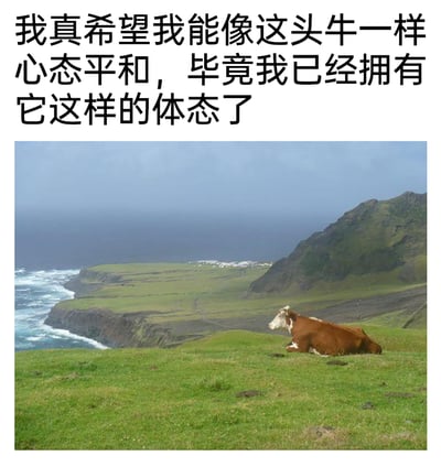 这是一张顶配底文的静态图，底部为实拍的国外海岛牧场照片：一头棕白相间的黄牛神态放松地趴在翠绿的草地上，背景是翻涌着白浪的深蓝色大海、连绵的绿色崖地，远处还能看到小型聚落，整体风景开阔治愈，充满松弛感。顶部配文“我真希望我能像这头牛一样心态平和，毕竟我已经拥有它这样的体态了”，以自嘲的口吻调侃自己与牛相似的体态，同时表达出对牛悠然平和心态的羡慕，精准传递出当代人在生活压力下，对松弛生活状态的向往与渴求。