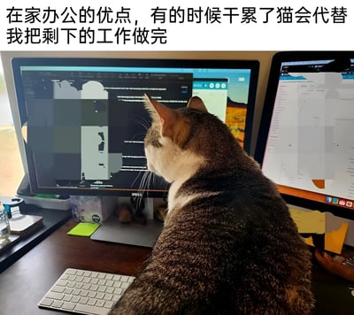 图片展示了一只灰白相间的猫咪正坐在电脑前，专注地注视着双显示器屏幕，左侧显示器显示着代码界面，右侧显示器有网页内容。图片上方配有文字“在家办公的优点，有的时候干累了猫会代替我把剩下的工作做完”，以幽默的方式调侃猫咪“帮助”主人完成工作的可爱场景，展现了在家办公时与宠物相伴的温馨日常。