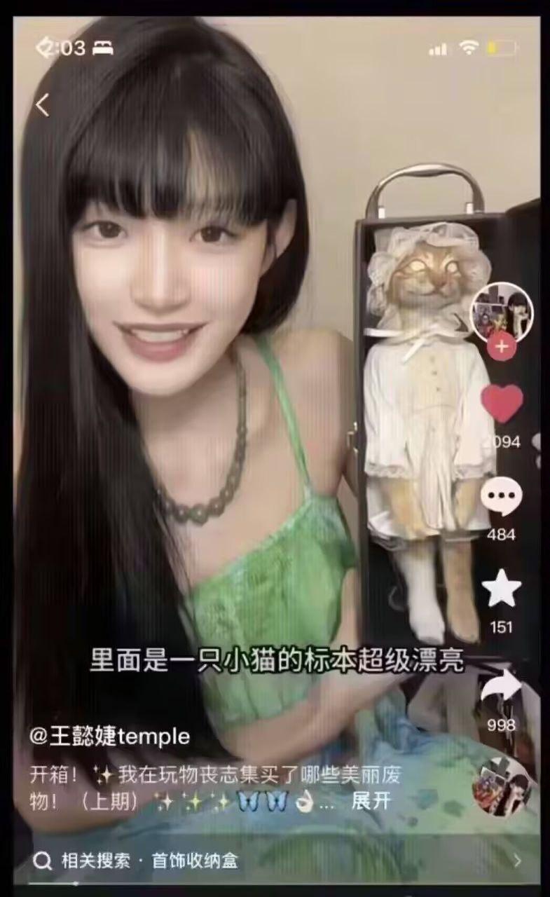真实动物标本