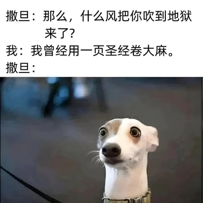 图片上半部分为文字对话，撒旦询问对方为何来到地狱，对方回答曾用圣经页面卷大麻，下半部分是一只表情震惊的白色小狗抬头注视的照片，通过文字与动物表情的结合制造黑色幽默效果，小狗的惊讶神态对应撒旦听到回答后的反应。