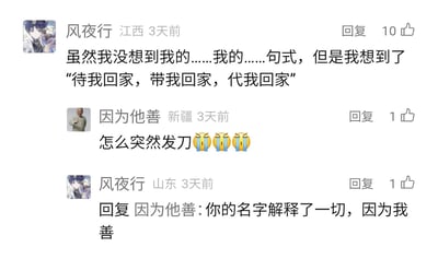 这是一张社交媒体评论区的截图，展示了三位用户的互动对话。用户“风夜行”首先提及了出自《盗墓笔记》衍生内容的虐心台词“待我回家，带我回家，代我回家”，另一位用户“因为他善”用哭泣表情回应，称被突然“发刀”（网络用语，指看到虐心内容），随后“风夜行”借用对方的用户名“因为他善”玩起谐音梗，回复“你的名字解释了一切，因为我善”，形成了一段兼具虐心感与趣味性的评论互动。