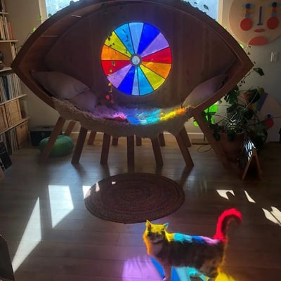 房间中央摆放着一个巨大的眼型木质座椅，座椅中央镶嵌着圆形彩色玻璃窗，阳光透过玻璃在座椅内部和地面投射出彩虹般的斑斓光影。座椅内铺有柔软的毛绒垫和靠枕，显得温馨舒适。一只猫咪站在座椅前方的地板上，其毛发被彩色光影映照出蓝、黄、红等多种颜色，仿佛一只“彩虹猫”。周围环境有木质书架、绿植和抽象风格的墙面装饰，整体营造出梦幻又治愈的居家氛围。