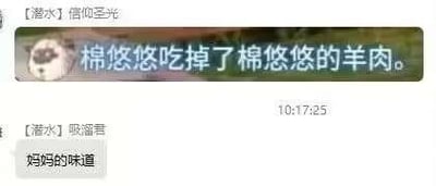 这是一张社交聊天软件的记录截图，用户「信仰圣光」发送消息「棉悠悠吃掉了棉悠悠的羊肉」并附带卡通头像，时间显示为10:17:25；随后用户「吸溜君」回复「妈妈的味道」。内容通过设定「吃掉自己的羊肉」这一荒诞行为，结合「妈妈的味道」这个常见表述，制造出反差感与黑色幽默，是网友在聊天中玩梗整活的搞笑内容。