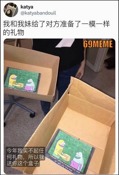 这张图描述了两个姐妹互送彼此完全一样的“礼物”，实际上都是盒子空盒，而且盒子里还放了一张幽默漫画。漫画内容用中英双语表达：“今年我买不起任何礼物，所以送你这个盒子。”这种互相玩梗，让人会心一笑，也反映了送礼时预算有限时的幽默与无奈。画面整体氛围轻松，带有自嘲意味。图片和漫画中都没有明显的双关或谐音梗，但有一种冷幽默：所谓的“同款礼物”其实什么都没有，仅仅是一个盒子和一张解释的图片。