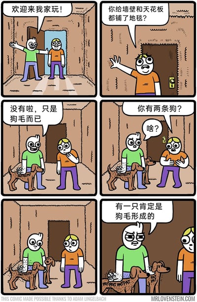 这是一则六格搞笑连环漫画，讲述了绿衣服主人邀请橙衣服朋友到家中做客的趣事：朋友刚进门就惊讶地询问主人是不是给墙壁和天花板都铺了地毯，主人解释说只是家里狗狗掉的狗毛，此时一条狗狗出现在主人身边；随后朋友又发现房间里还有另一条狗狗，主人也露出疑惑的神情，最后主人无奈地自我安慰，表示其中一条狗肯定是满屋泛滥的狗毛聚集形成的。漫画用极度夸张的手法调侃了宠物掉毛严重的日常困扰，充满荒诞的幽默感，让人忍俊不禁。