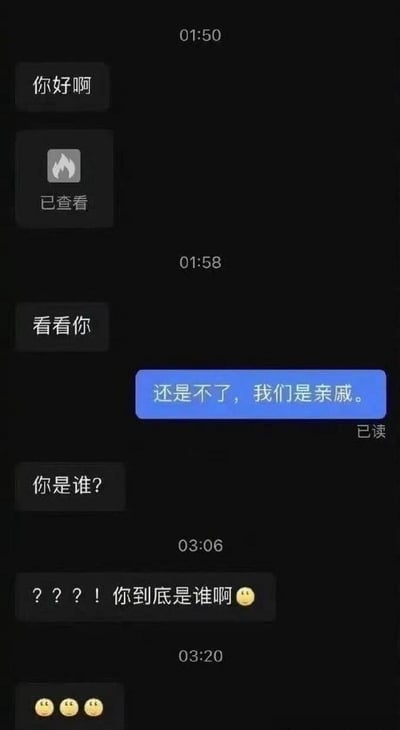 这是一张聊天记录截图，展示了一段有趣的对话：一方先发送“你好啊”，被标记为“已查看”；随后发送“看看你”，另一方回复蓝色气泡消息“还是不了，我们是亲戚。”。之后对方接连发问“你是谁?”“???！你到底是谁啊😊”，最后发送三个😊表情。整个对话通过“亲戚”这一理由幽默地拒绝了对方的进一步互动，充满生活中的社交小尴尬与搞笑氛围。