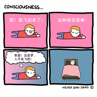 这是一幅四格连环卡通漫画，顶部标注英文标题'CONSCIOUSNESS...'（意识...）。第一格粉色背景中，卡通小男孩兴奋地在空中飞行，大喊'耶！我飞起来了！'，表情开心雀跃；第二格同样是粉色背景，小男孩一脸满足地说道'这种感觉真棒！'，享受着飞行的快感；第三格背景渐变为粉蓝双色，小男孩的脑海中冒出一个想法气泡，写着'笨蛋！这是梦，人不会飞的！'，他的表情瞬间变得失落；第四格蓝色背景中，小男孩躺在床上，盖着粉色被子，已经从梦中醒来，回归现实。漫画通过简单的情节，展现了意识对梦境的认知过程，当意识到身处梦境时，便从虚幻的飞行场景回到了现实的床上，带有一丝幽默和对意识与梦境关系的调侃。