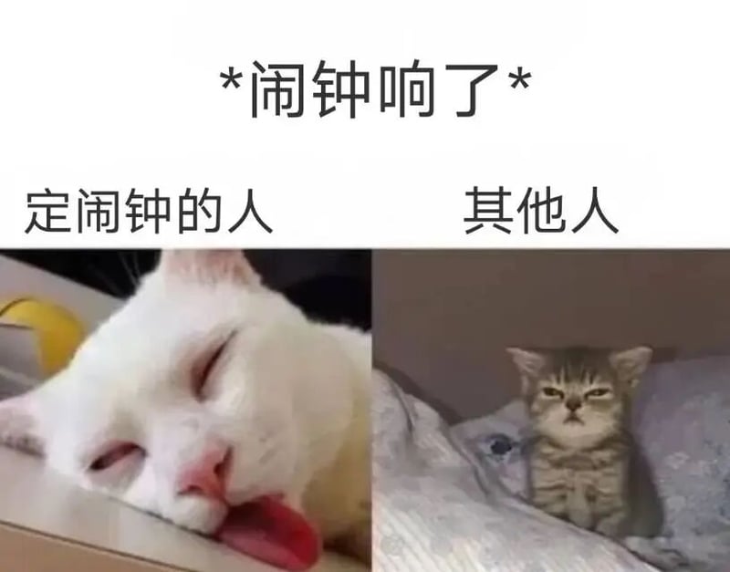 Internet meme