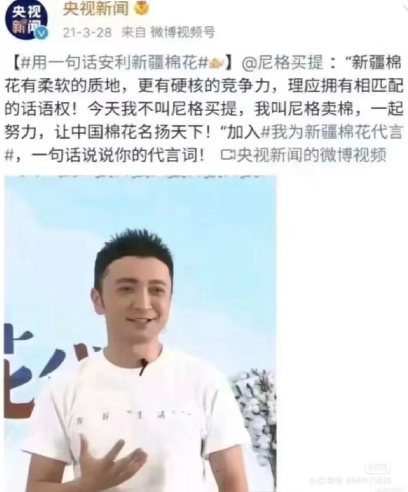 央视主持人