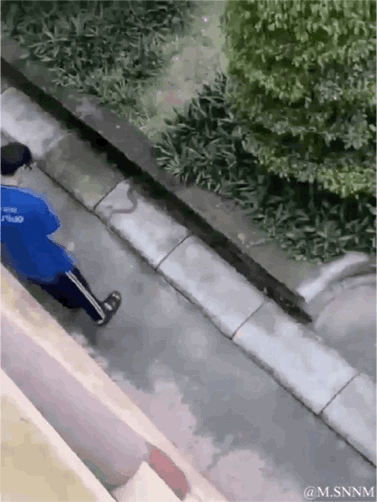 这是一段俯视视角的GIF动态图，一名身穿蓝色上衣的行人正沿着路边步道行走，步道旁的台阶边缘纹路与阴影恰好组合成类似蛇的形态，形成逼真的视觉错位效果，乍一看仿佛有蛇趴在行人脚边，带来搞笑又惊奇的观感。