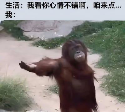 这张梗图上方有两行文字对话，分别是“生活：我看你心情不错啊，咱来点...”和“我：”。图片主体是一只红毛猩猩站在土路上，双臂向两侧张开，表情严肃，似乎在做出某种夸张的动作或姿态。图片通过将猩猩的动作与文字结合，幽默地表达了当生活看到你心情好时，可能会给你带来新挑战的无奈感受。