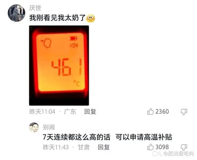 这是一张中文社交平台评论区的截图，用户“厌世”发布评论，附上体温测量设备显示46.1℃的照片，配文称“我刚看见我太奶了”，用夸张的说法调侃自己体温过高，已经烧到快要去世见到已经过世的太奶；另一位用户“别闹”在下方回复调侃“7天连续都这么高的话 可以申请高温补贴”，故意将人体发烧的高温和户外工作的高温混淆，一本正经的胡说八道制造出冷幽默效果，图片右下角带有水印“@肥洁爱吃肉”。