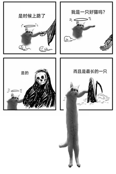 这是一幅四格黑白搞笑漫画，通过真实猫咪照片与手绘死神形象结合创作，运用谐音梗制造笑点。第一格中，身着黑袍的死神伸手拉住带有光环的天使猫，配文‘是时候上路了’，呈现死神接引灵魂的经典场景；第二格中，天使猫向死神发问‘我是一只好猫吗？’；第三格中死神给出肯定答复‘是的’；第四格是核心笑点，猫咪被P成夸张的超长形态，配文‘而且是最长的一只’，将‘最好的’谐音为‘最长的’，同时猫咪反过来拉住死神，死神呈现出被拽入水中的姿态，荒诞的画面与谐音梗结合，营造出滑稽搞笑的效果。