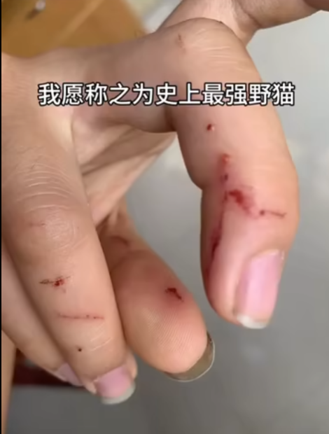 耄耋