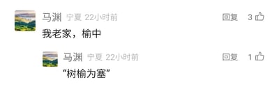 这是一张社交媒体平台的评论区截图，展示了定位为宁夏的用户“马渊”在22小时前发布的两条评论。用户的头像是一幅包含山林的风景图，第一条评论内容为“我老家，榆中”，该评论获得了3个点赞；第二条评论引用了典故“树榆为塞”，获得了1个点赞。用户通过这两条评论，一方面分享了自己的老家所在地，另一方面引用相关典故，推测是在关联老家地名的历史由来。