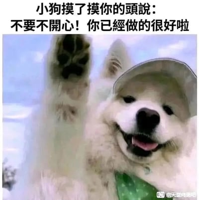 暂无描述