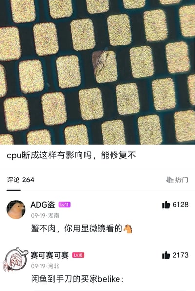这是一张社交媒体的聊天记录截图，上方是显微镜下拍摄的CPU针脚局部图，其中一处针脚出现断裂，配文提问“cpu断成这样有影响吗，能修复不”；下方是两条热门评论：用户“ADG盗”用谐音梗“蟹不肉”（“shit bro”的中文谐音）吐槽提问者用显微镜这种极端方式找CPU的细微瑕疵；用户“赛可赛可赛”则调侃这种行为和闲鱼上为了砍价故意挑毛病的“到手刀”买家如出一辙，用夸张的对比讽刺了到手刀买家吹毛求疵的特点，引发网友共鸣。