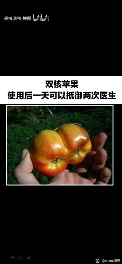这是一张幽默网络梗图，采用图文混排结构。上方白色背景文字区域写着“双核苹果 使用后一天可以抵御两次医生”，下方嵌入一张实拍照片：两只连体生长的红黄相间苹果被人的双手捧着，背景是绿色草地。图片核心笑点在于将“双核”（计算机处理器术语）与苹果“一天一苹果，医生远离我”的传统俗语结合，创造出“连体苹果=双核配置，可双倍抵御医生”的荒诞联想，属于典型的概念错位类搞笑梗图。