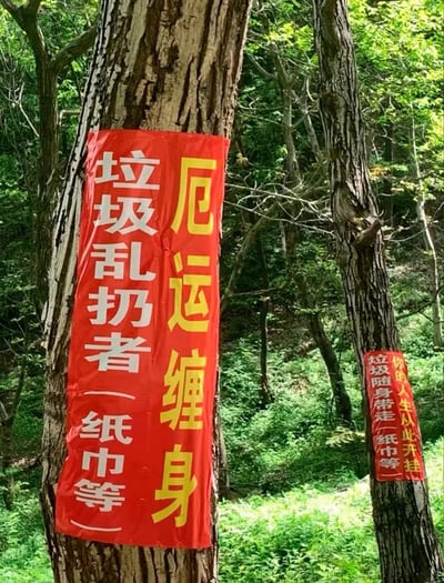 这是一张实地拍摄的山林场景照片，画面中两棵粗糙的树干上分别张贴着红色的竖排标语。左侧树干的标语以白色和黄色醒目字体呈现，内容为“垃圾乱扔者（纸巾等）”“厄运缠身”，用带有威慑性的话语警示乱扔垃圾的行为；右侧树干的标语则是“你的人生从此开挂”“垃圾随身带走（纸巾等）”，以正向祝福的话语鼓励游客带走垃圾。整体标语采用接地气的民间风格，将负面警示与正向激励结合，在绿意盎然的山林背景中格外醒目，旨在呼吁进入山林的人们爱护环境，不要随意丢弃垃圾。