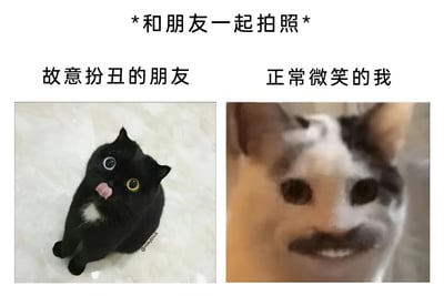 这是一张左右对比的搞笑梗图，上方标题为“*和朋友一起拍照*”。左侧标注“故意扮丑的朋友”，是一只黑白色猫咪，睁着一大一小的异色瞳孔（一黄一蓝），吐着粉色舌头，表情夸张搞怪；右侧标注“正常微笑的我”，是一只模糊的花脸猫，被P上了小胡子，露出僵硬的假笑，形成强烈反差。图片通过猫咪的表情对比，幽默还原了朋友合照时一方故意扮丑、另一方努力维持正常表情却显得尴尬的真实场景，引发共鸣。