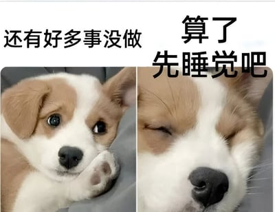 这是一张左右对比的图文混排静态图，左侧画面中一只棕白相间的柯基小狗趴卧着，前爪托着下巴，眼神清澈略带思索，上方配有文字“还有好多事没做”；右侧画面中同一只柯基闭眼趴在原处，表情放松呈现困倦状态，上方配有文字“算了先睡觉吧”。图片通过小狗前后表情和动作的对比，幽默地展现了人们面对未完成任务时，从纠结到选择拖延、放弃抵抗去睡觉的心理变化，非常贴合当代人常有的拖延症日常。