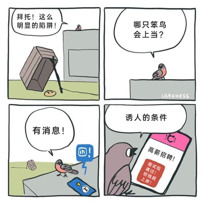 这是一则由画师LARKNESS创作的四格讽刺漫画，以一只卡通小鸟的行为反差映射现实问题。第一格中，小鸟站在高处，看着地面上用木箱、绳子和面包做成的简易陷阱，语气不屑地说“拜托！这么明显的陷阱！”；第二格中小鸟继续嘲讽“哪只笨鸟会上当？”，表现出对这类低级陷阱的鄙夷；第三格中小鸟收到消息提醒，惊喜地喊出“有消息！”；第四格中小鸟盯着手机，手机上显示着“高薪招聘！面试包通过！给钱就上岸！”的诱人信息，配文“诱人的条件”，此时小鸟完全被这类看似美好的职场招聘条件吸引，讽刺了现实中很多人能识破简单的骗局，却容易被职场里包装精美的虚假招聘陷阱迷惑的现象。