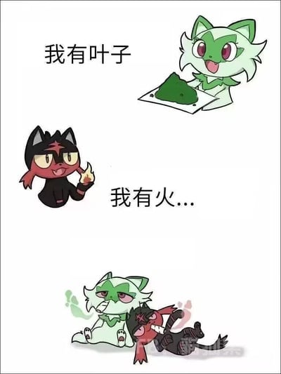 这是一张三格连环漫画，展示了两只卡通猫的互动。上格中绿色的猫开心地展示着叶子并说“我有叶子”；中格中黑色的猫得意地举着火说“我有火...”；下格中黑色猫用火点燃了绿色猫的叶子，绿色猫表情痛苦，黑色猫则显得很兴奋。