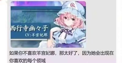 这是一张图文混排的搞笑梗图，上方是东方Project角色西行寺幽幽子的立绘展示截图，标注了该角色的配音声优为羊宫妃那；下方配文以调侃的语气说道“如果你不喜欢羊宫妃娜，那太好了，因为她会出现在你喜欢的每个领域”，用来吐槽声优羊宫妃那近年来配音的ACG角色覆盖范围极广，让不喜欢她的观众在各个喜爱的作品中都能遇到她的配音，充满反差感与趣味性。图中无谐音梗、双关等特殊内容。