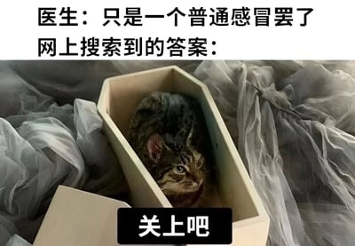这张梗图通过幽默对比展现了一个常见现象：当医生诊断为普通感冒时，人们在网上搜索症状却往往得到极其严重的结果。图片上方文字写着"医生：只是一个普通感冒罢了"，下方对应"网上搜索到的答案："，配图是一只猫平静地躺在类似棺材的盒子里，盒子上覆盖着纱布，并有"关上吧"的文字覆盖。这种夸张的对比手法生动表现了网络医疗信息常引起不必要恐慌的现象。